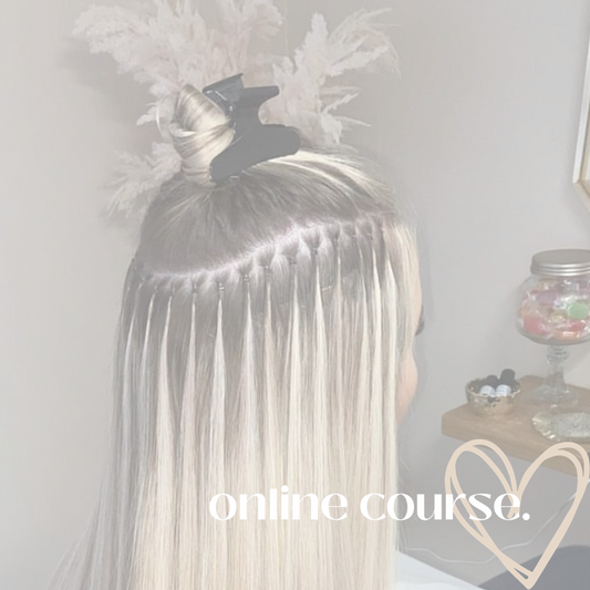 Online Nano Ring Hair Extensions Course